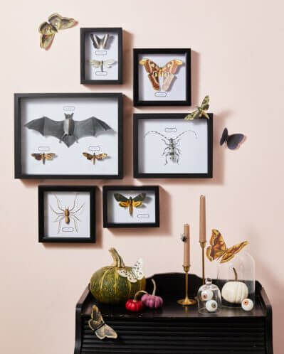  9.Bug Art Display