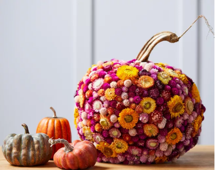 23 Easy Ways To Decorate Pumpkins Super Fun To Make