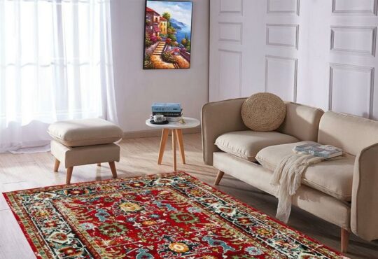 5 Simple tips for choosing the carpets in spaces of your home