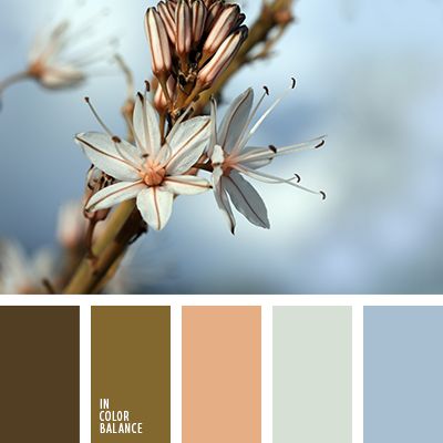 11 a professional way to choose the right color format in your interior