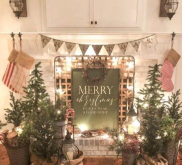 Rustic Christmas home splendid tour