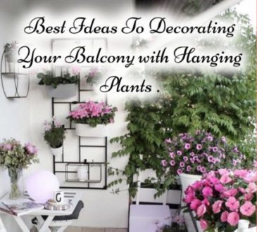 Best Ideas To Decorating Your Balcony with Hanging Plants .